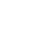 Motorway Police